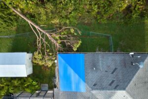 roof weather damage, Arlington