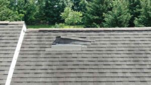 Trusted Roof Damage Repair in Pantego