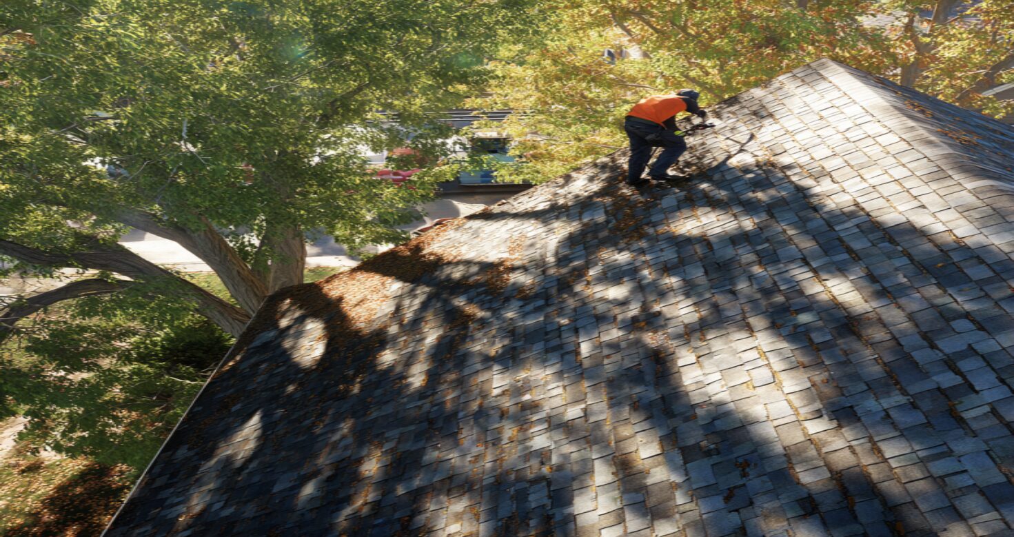 Trusted Roof Moss and Algae Expert in DeSoto