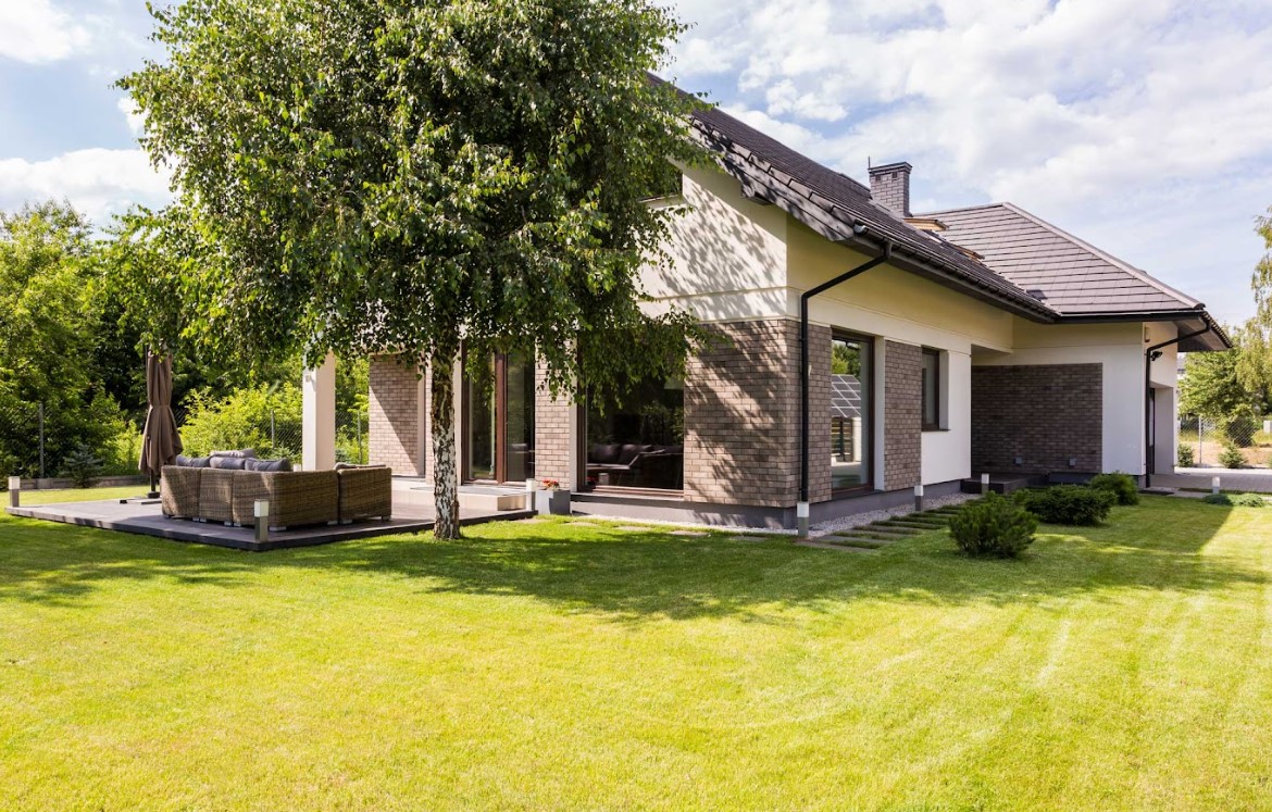 tree coverage near the roof affects asphalt performance 