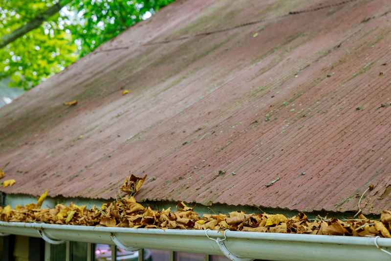 summer roof problems, summer roof damage, Chesapeake