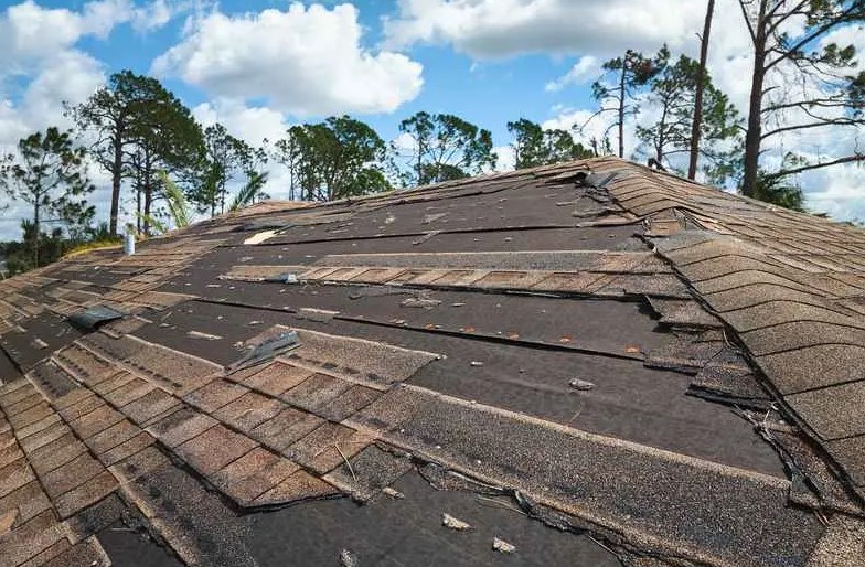 weather damage roofing service in Woodlawn, TN