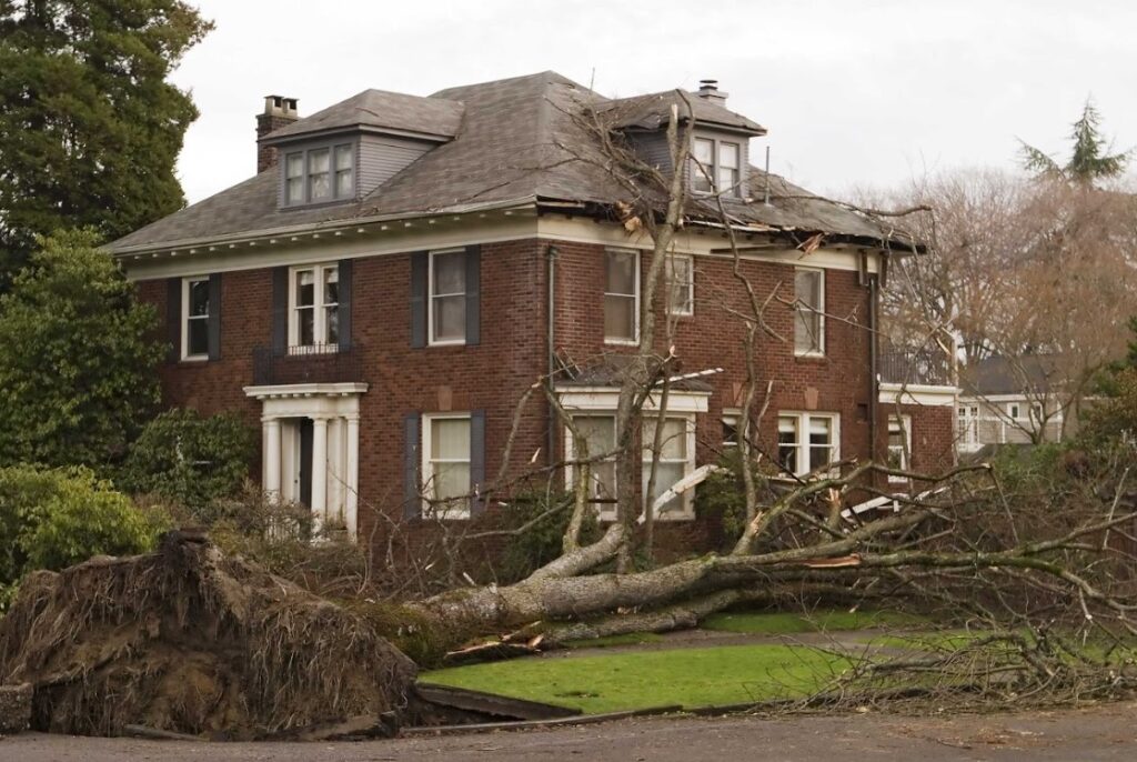 what to do when a tree falls on your roof in Clarksville, TN