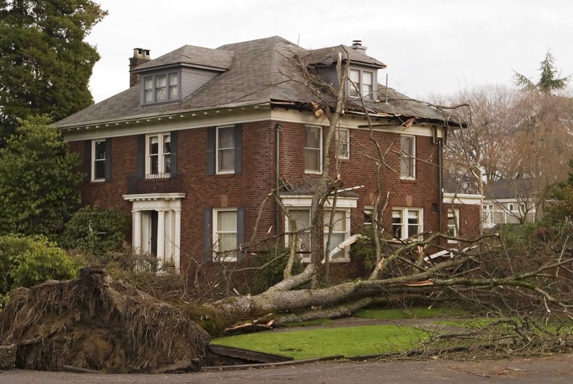 what to do when a tree falls on your roof in Clarksville, TN