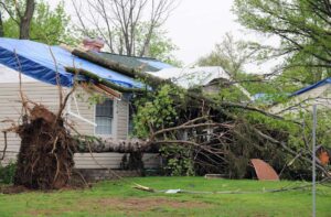 what to do when a tree falls on your roof in Colorado Springs, CO