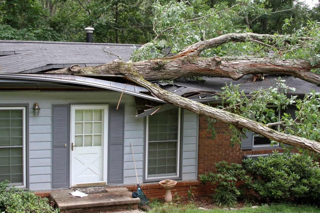 tree falls on your house in Dayton, OH