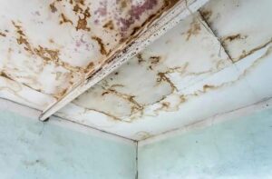 leaking roof in Fayetteville