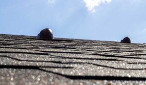 roof maintenance myths in Fort Myers, FL