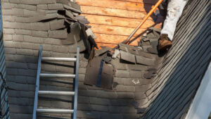 roof replacement expert in Fort Myers