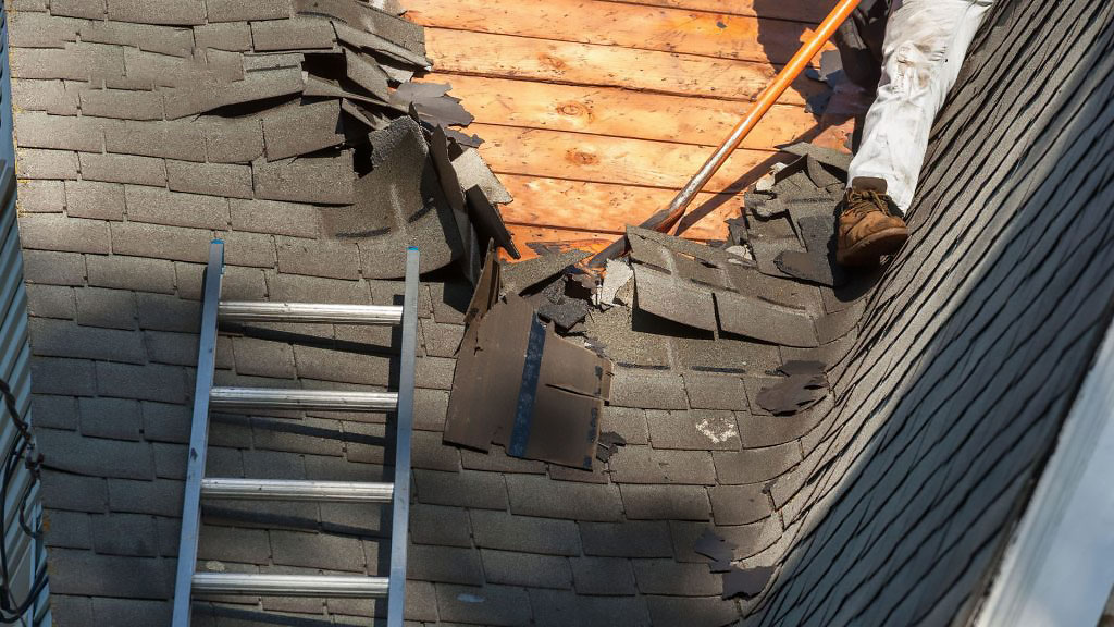 roof replacement expert in Fort Myers