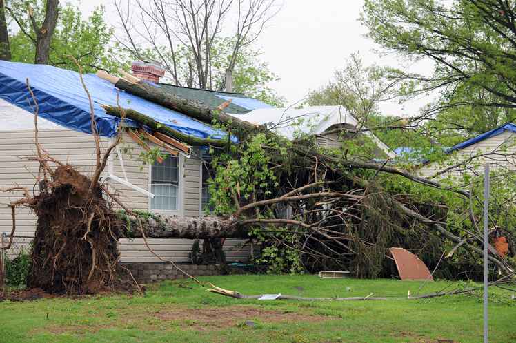 roof weather damage in Gainesville