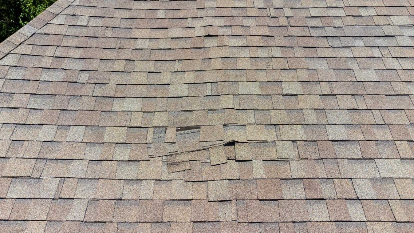wind fift damage on shingle roofs in Gainseville, FL
