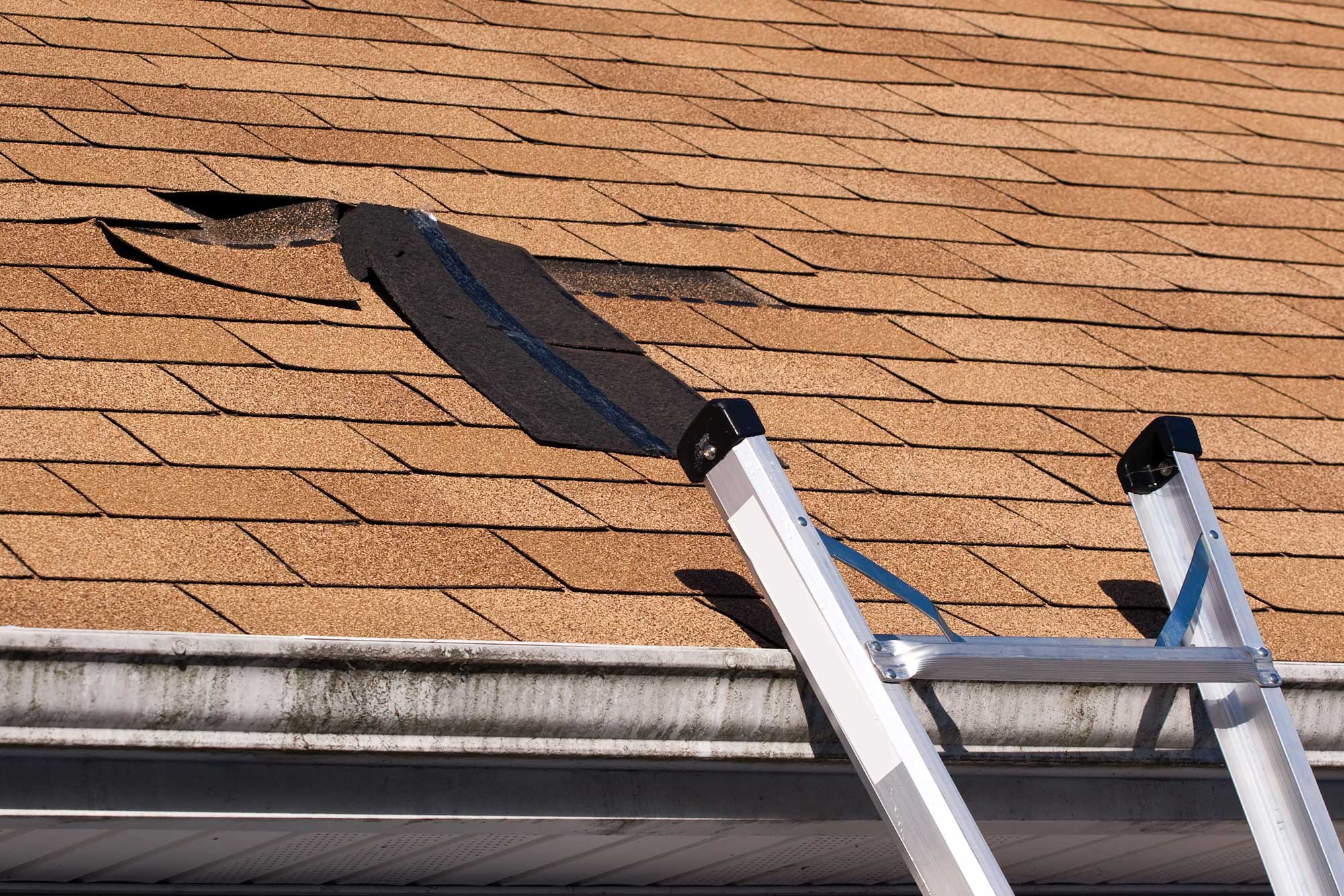 Trusted Storm Damage Roof Repair Company in Madison