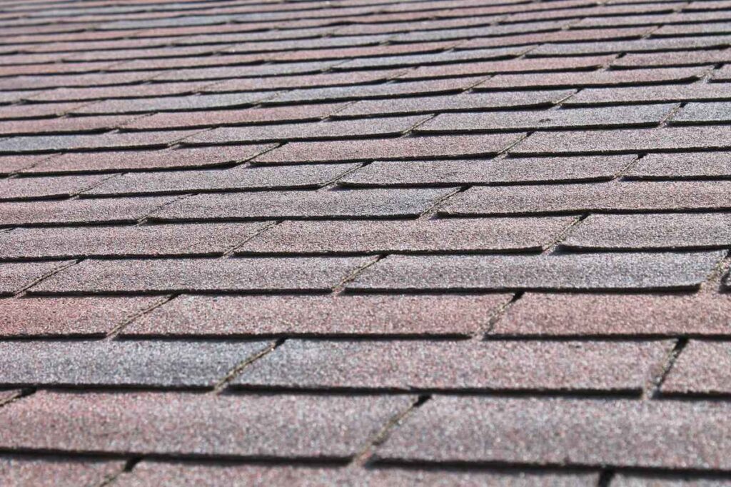 asphalt shingle roofing services