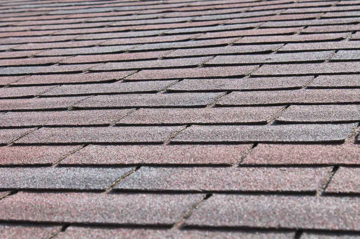 asphalt shingle roofing services