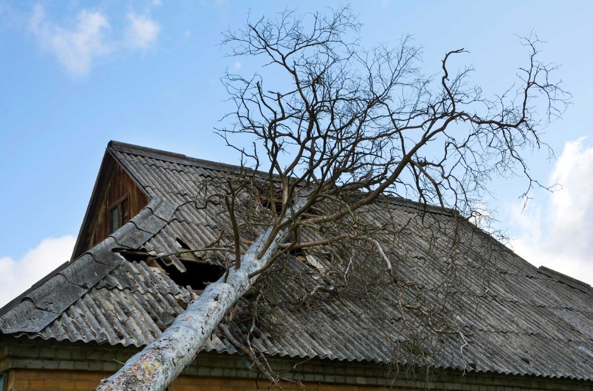 tree damage on roof in Jacksonville, FL