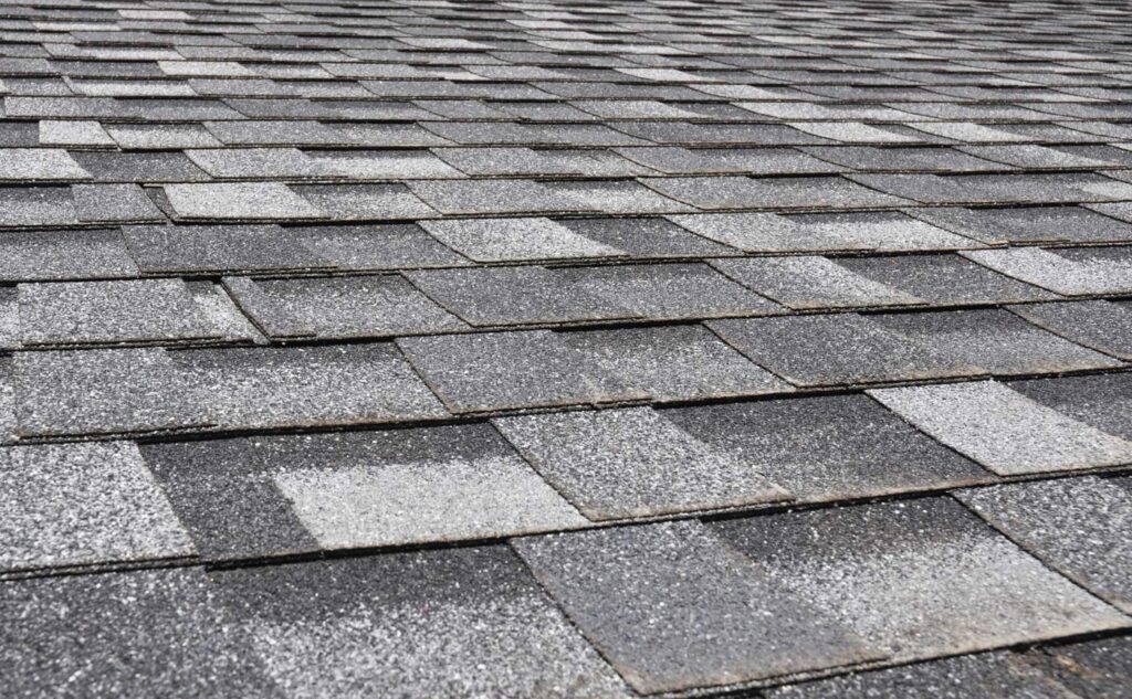the impact of Jacksonville’s humidity on asphalt shingle roofs