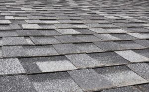 the impact of Jacksonville’s humidity on asphalt shingle roofs