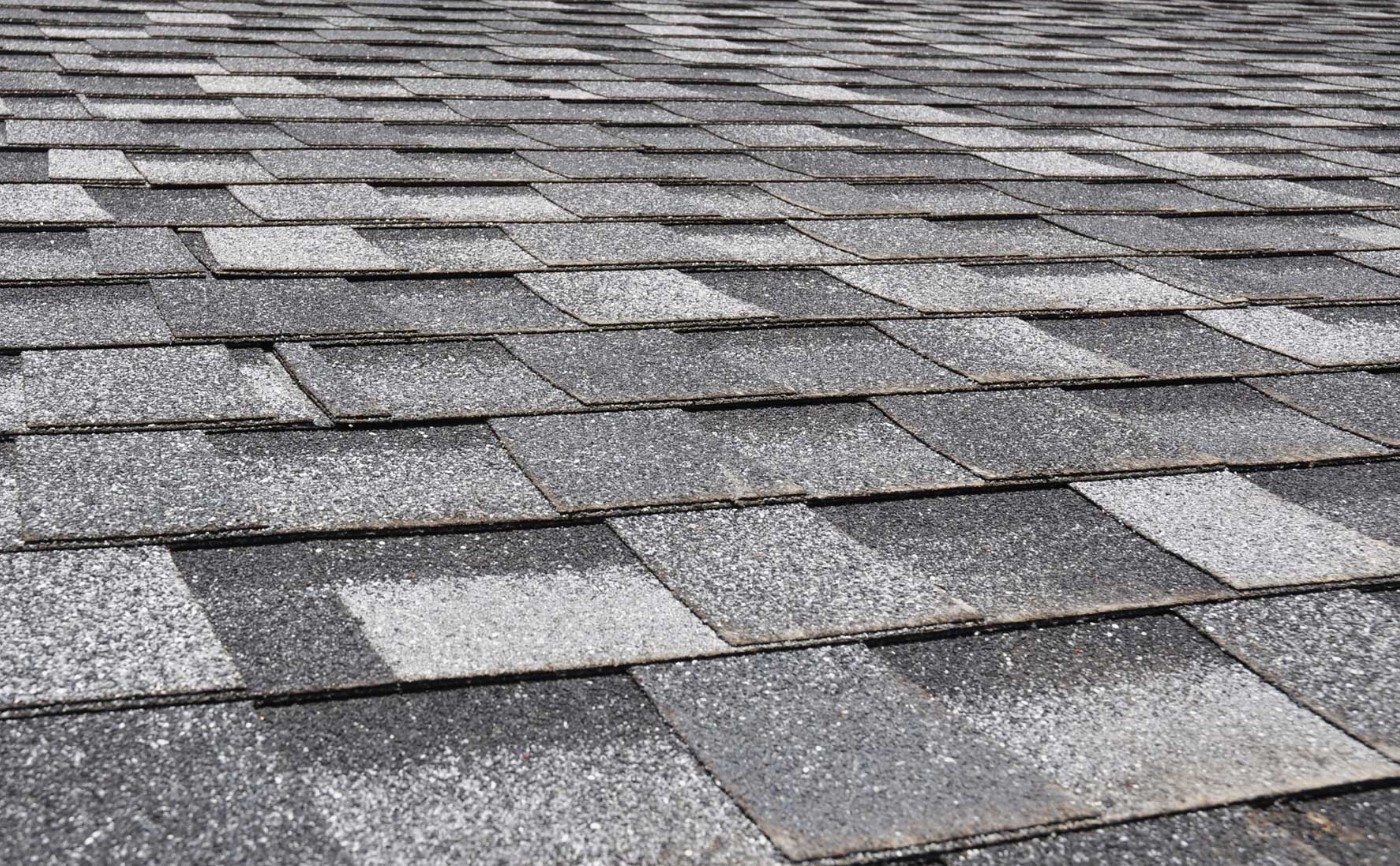 the impact of Jacksonville’s humidity on asphalt shingle roofs