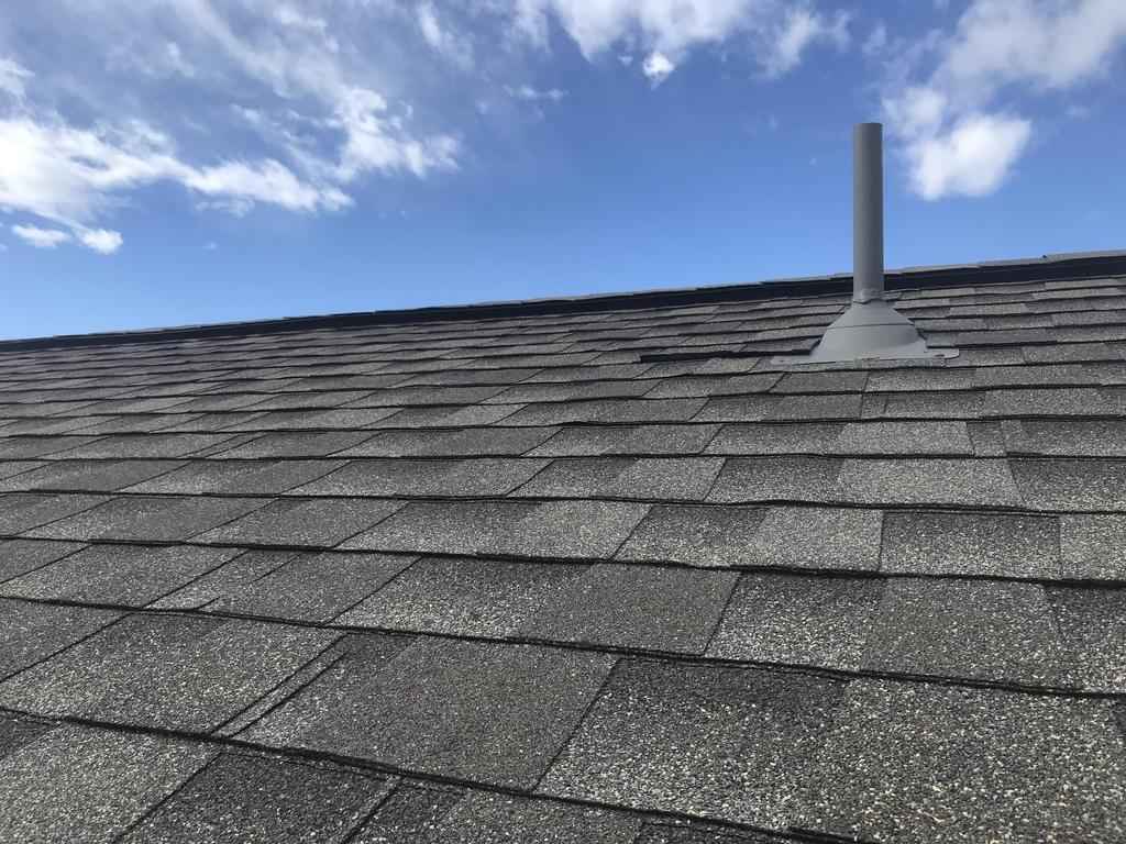 Encino roofing professionals