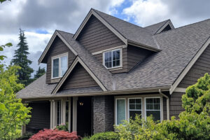 top roofing options, Louisville