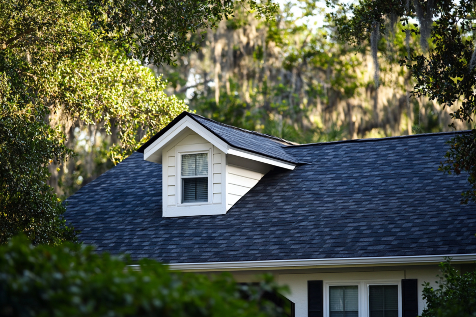 Aesthetic Shingle Trends in Louisville’s