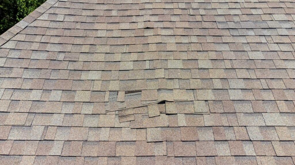 weather damage on roof in Philadelphia