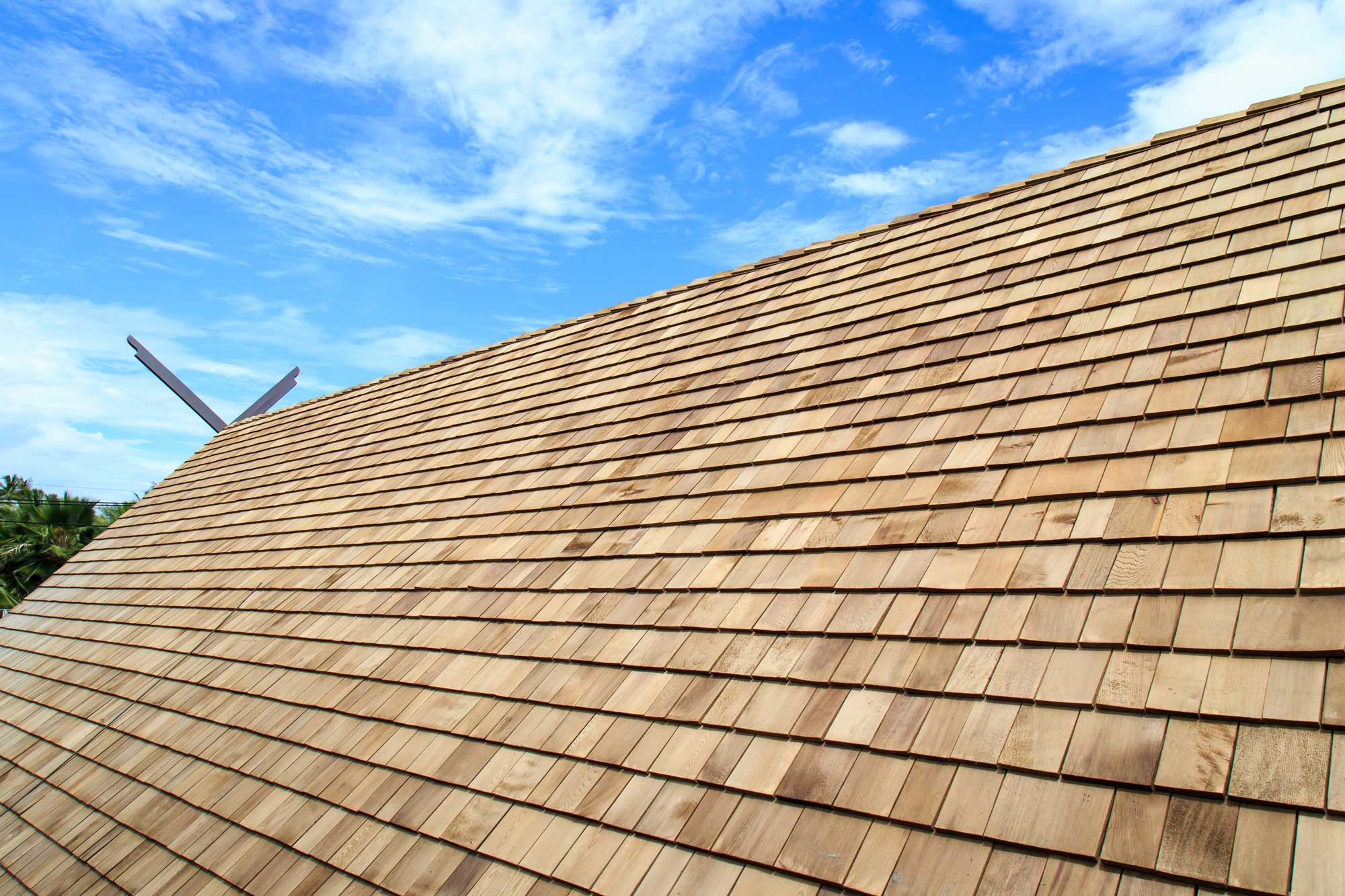 Why Cedar Roofs are a Green Choice in Phoenix, AZ