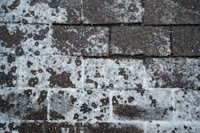 weather damage roofing services