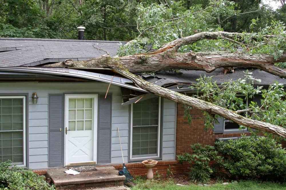 how falling trees impact your roof in Raleigh