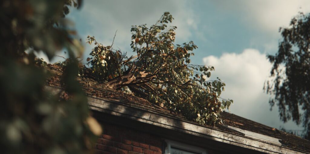 how falling trees impact your roof in Raleigh