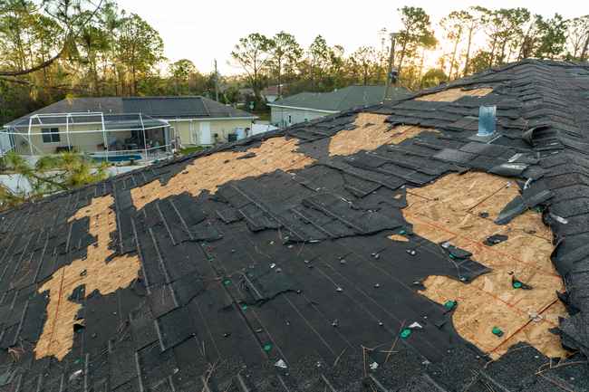 local roofing services