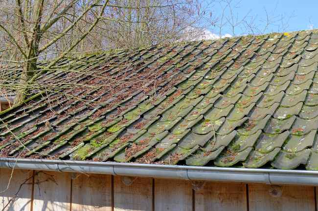 best local roofing services