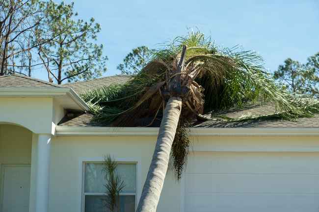 local roofing problem richmond