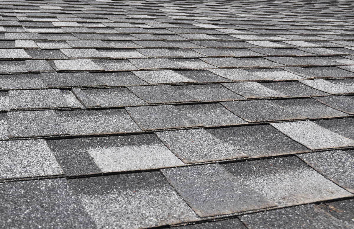 asphalt shingles services experts