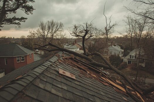 roof damage from tree, Richmond