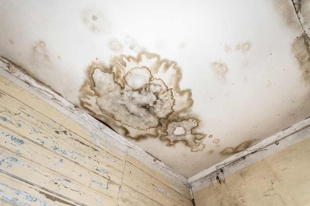 Hidden Signs of a Leaking Roof