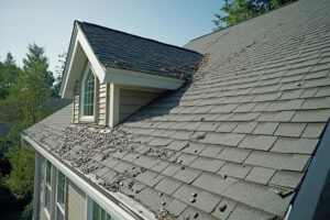 What to do when there are pests in your roof
