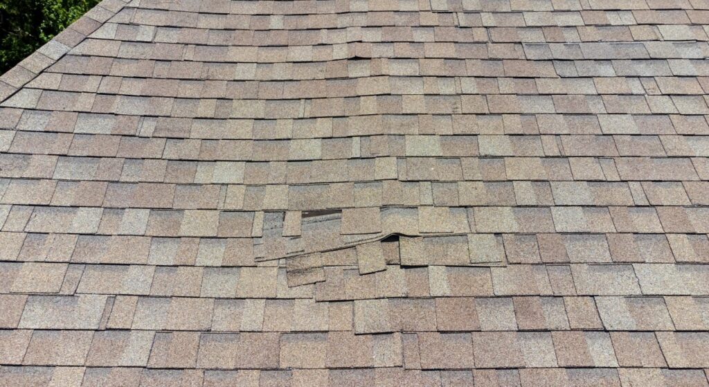 roof shingles lifting