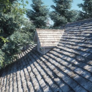 sign of roof stress near trees