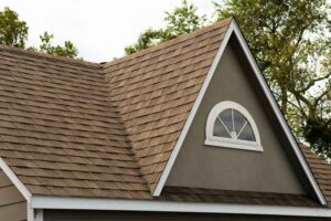 roof type that last longer in Savannah