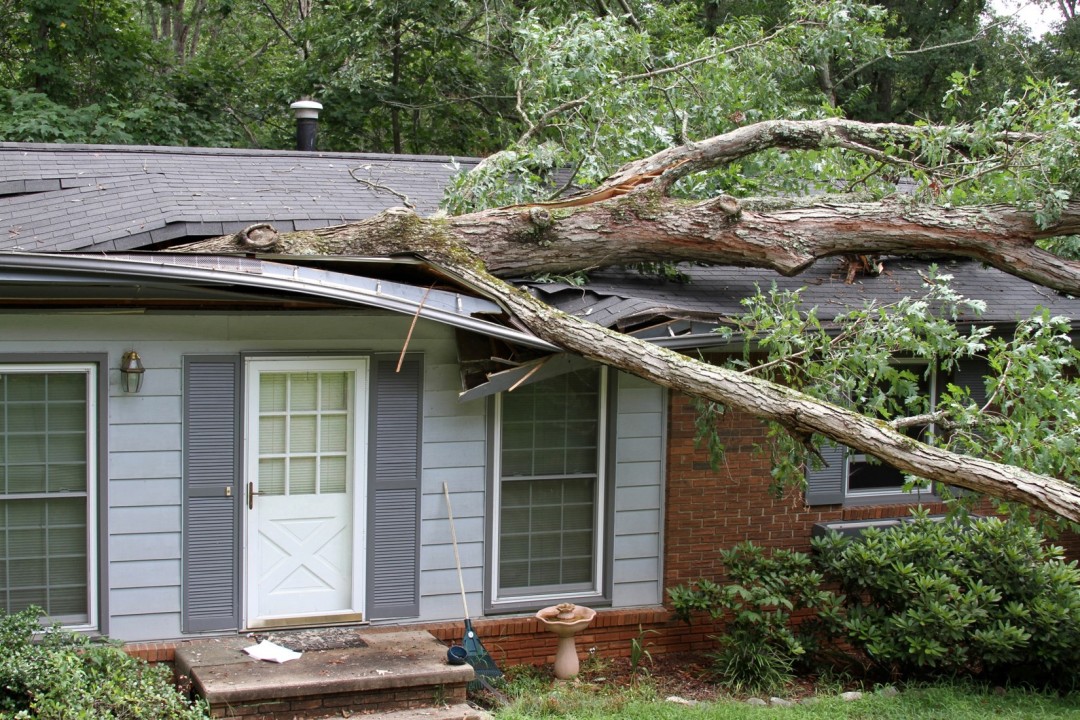 severe weather roof damage, Newnan