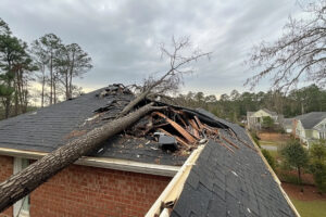 What to Do When a Tree Falls on Your Roof