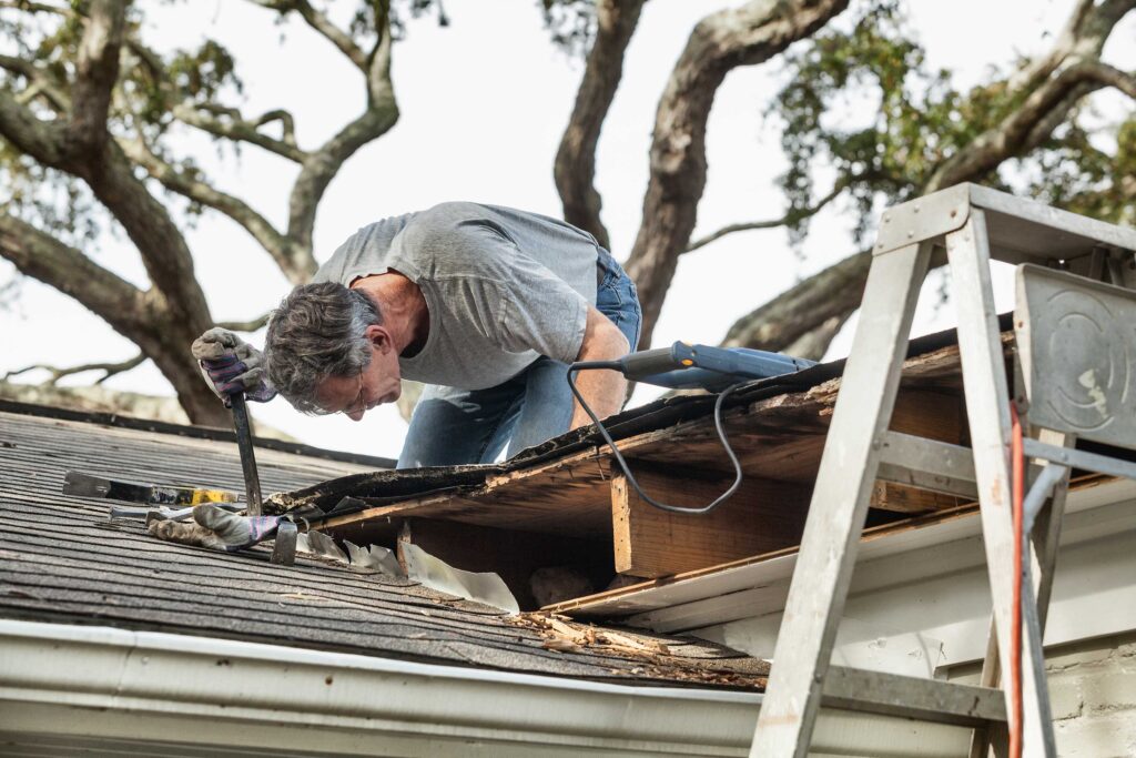 tree damage roof repair