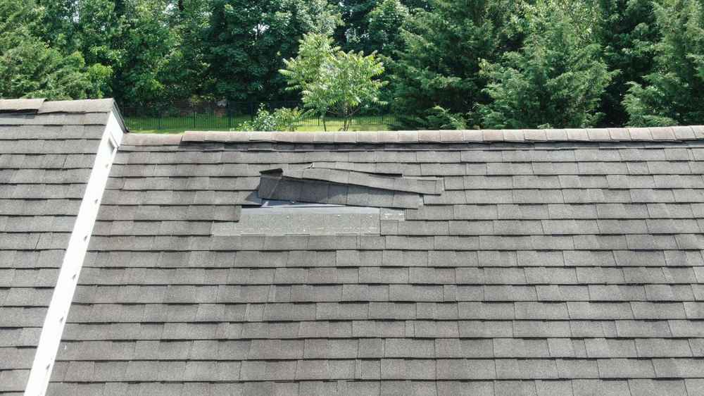asphalt shingle roof damage in Georgia