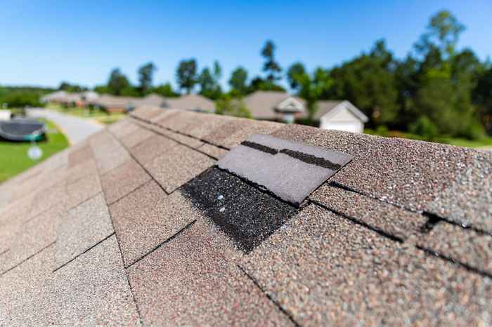 summer roof damage in Tallahassee