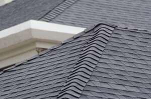 luxury asphalt shingle options in Tallahassee, FL