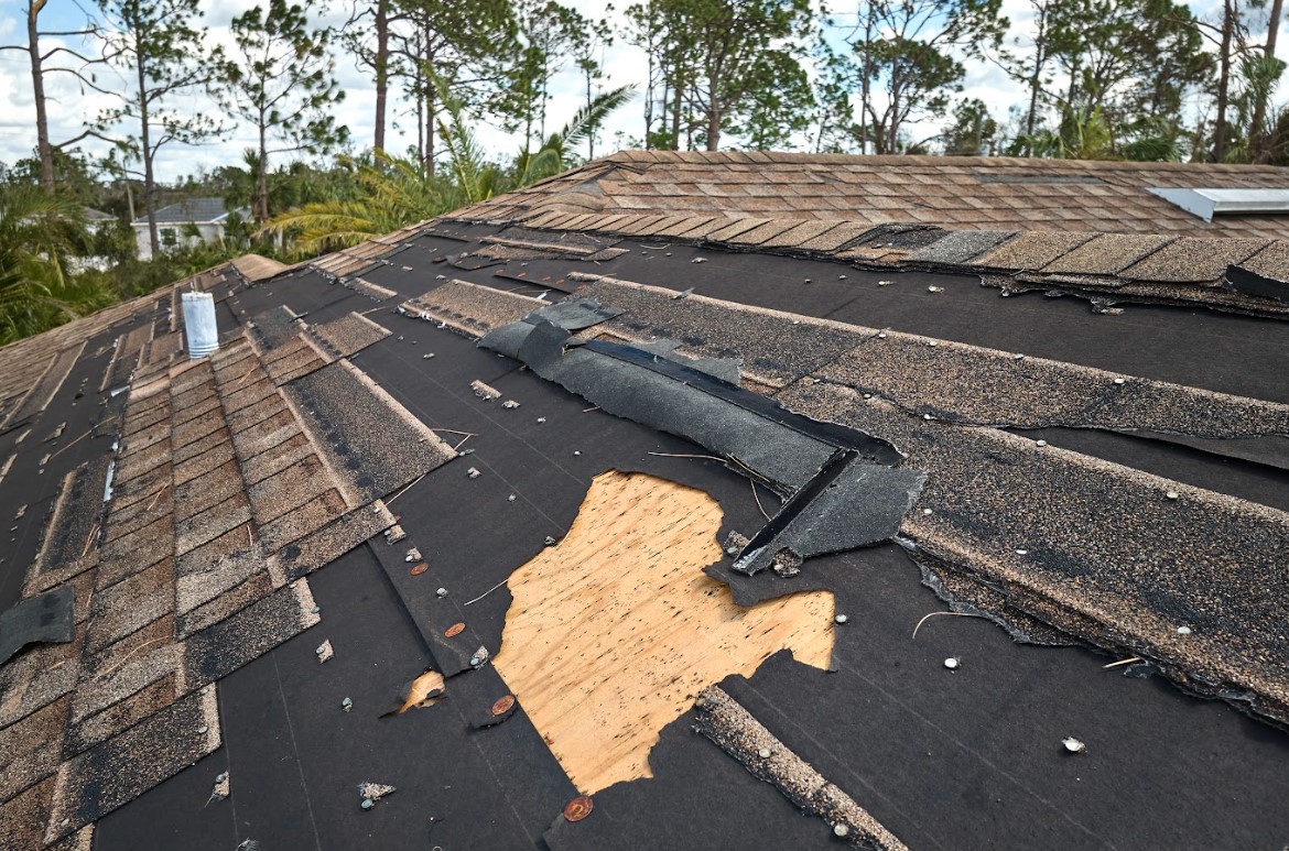 weather damage in Tallahassee, FL