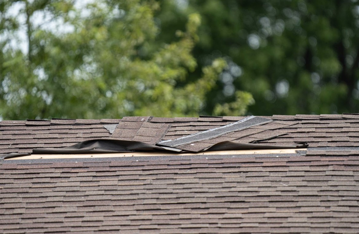 dangers of high wind in Tallahassee