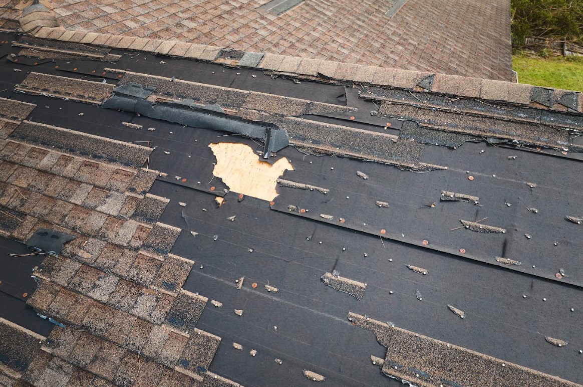 weather damage on roofs in Leon County, FL
